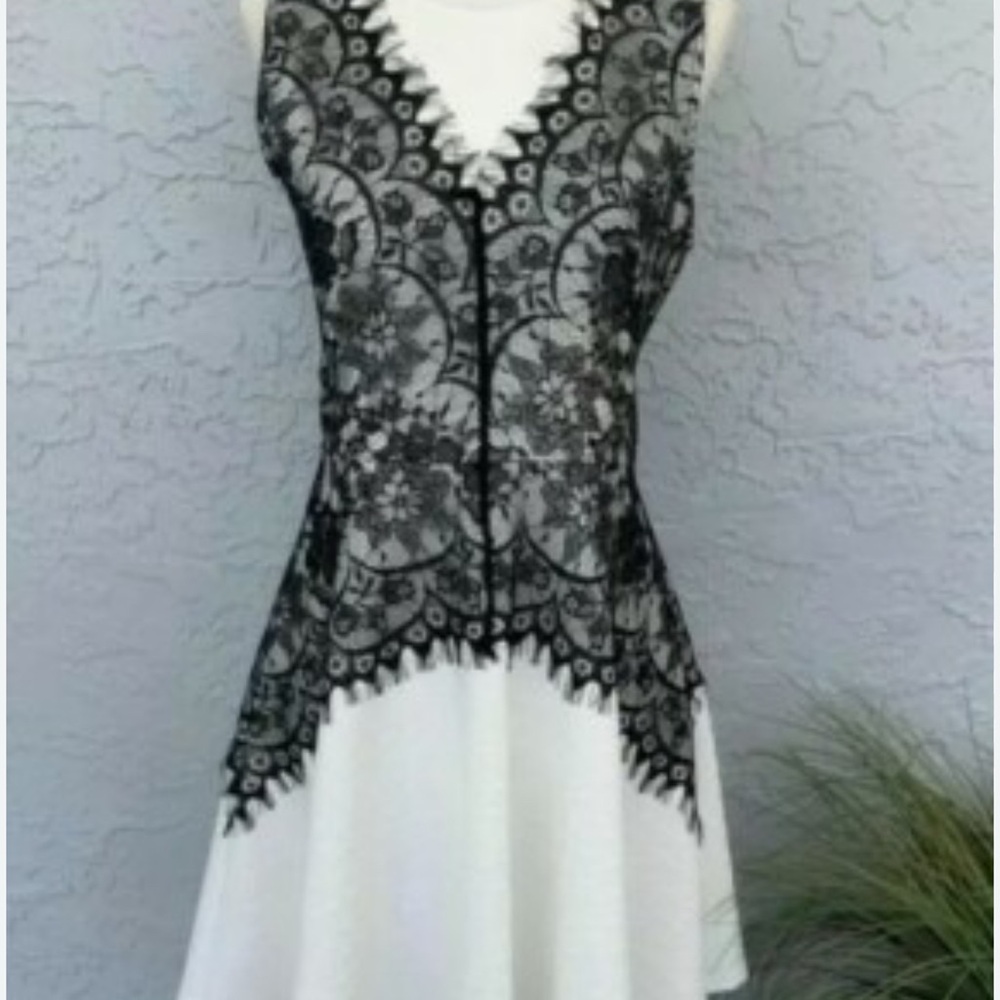 Francesca's Collections Black Lace and White Mini Dress